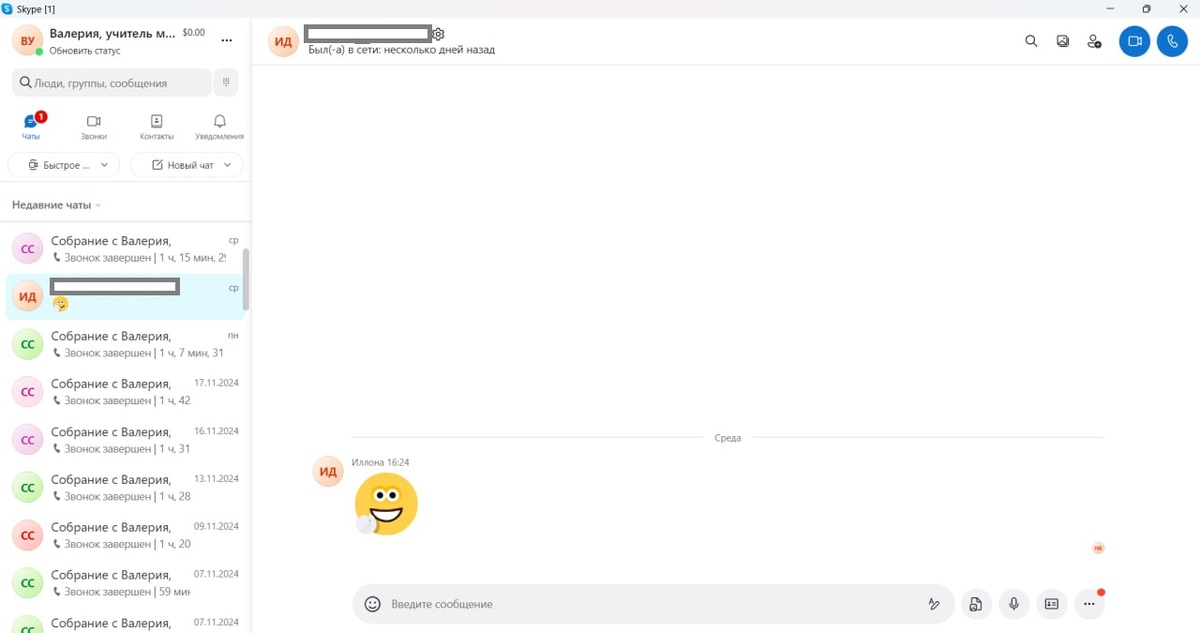при открытиии skype