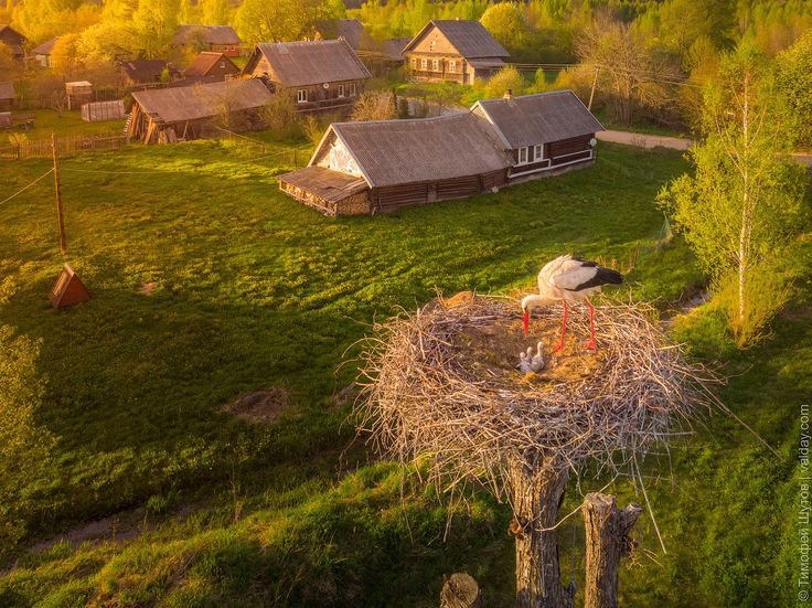 Источник: Pinterest