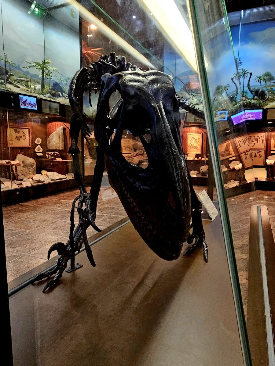 Слепок скелета дейнониха