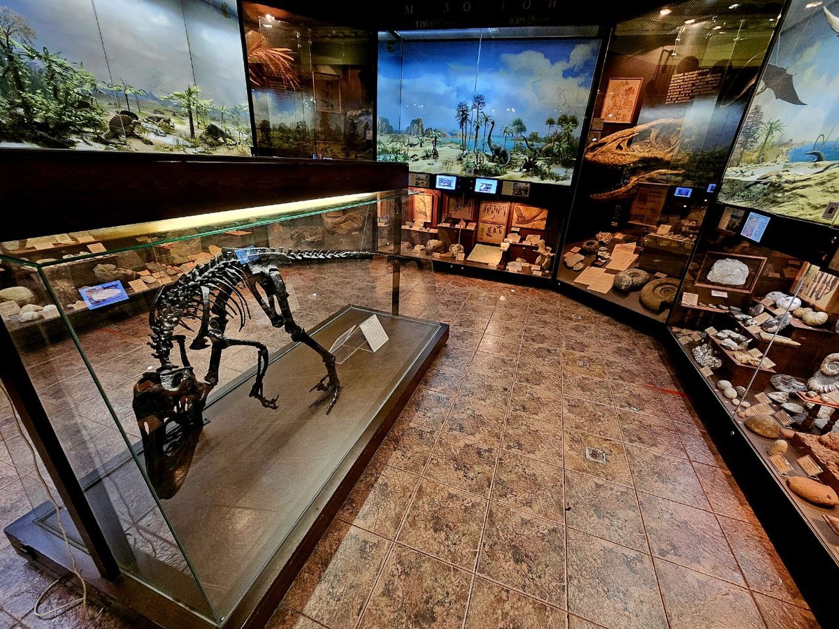 17 ззал "Развитие жизни на земле"