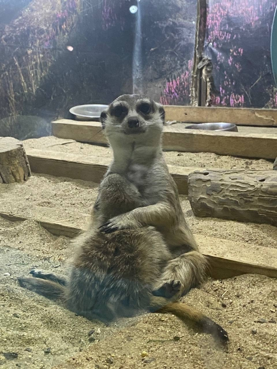 Самый большой зоопарк в Астрахани - зоопарк «Баба Фрося»