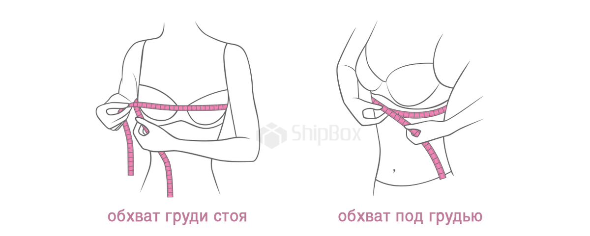 https://shipbox.us/kak-opredelit-razmer-grudi/