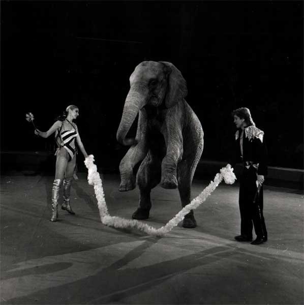 Народные артисты России Таисия Корнилова и Алексей Дементьев-Корнилов, фото отсюда: 
https://vk.com/album-31162306_144662678