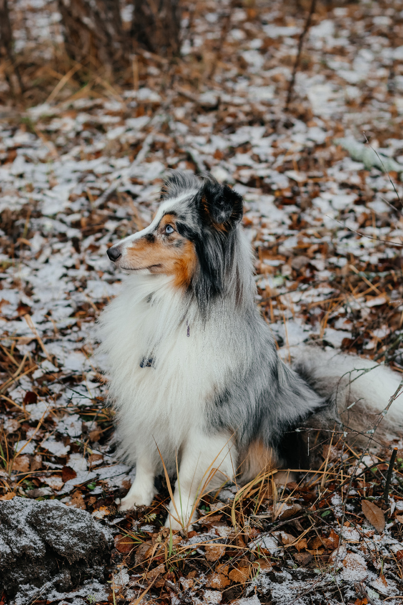 Честный мальчик 🥰
