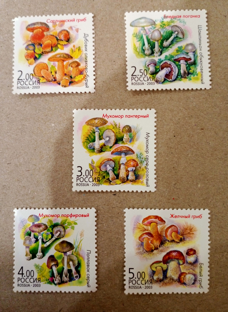Серия почтовых марок "Грибы-двойники" 2003г Россия.