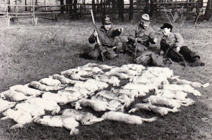 Фото из открытых источников