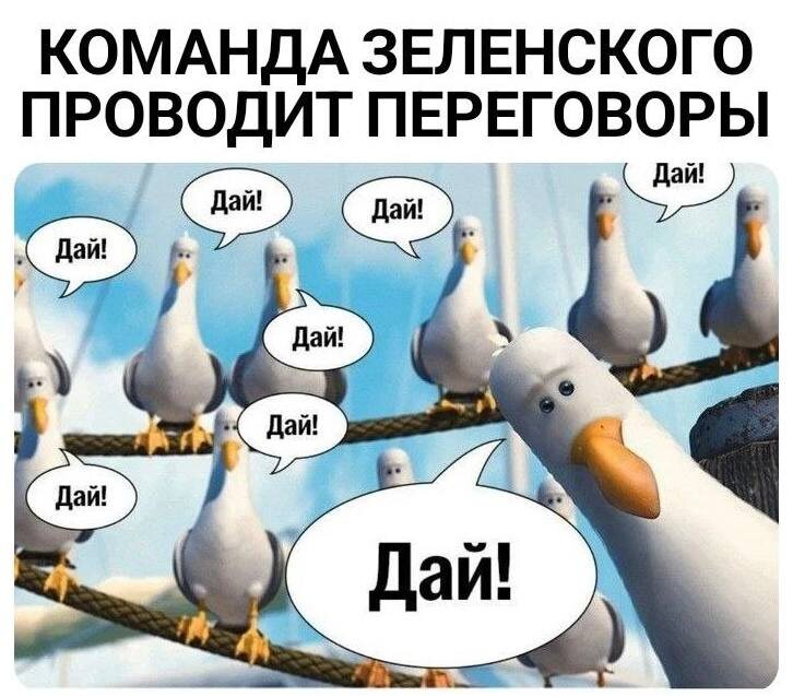 Все фото из интернета