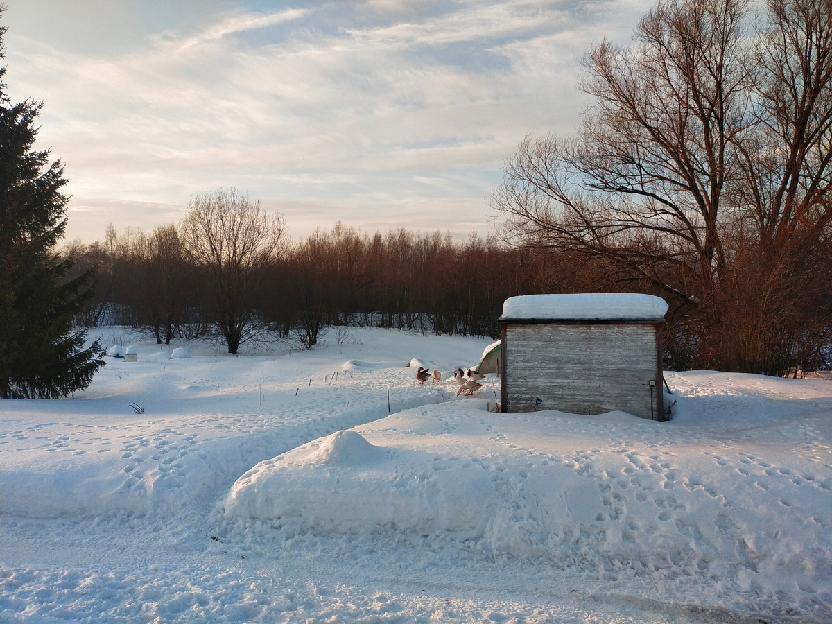 Вон он, справа. Фотки получше не нашла