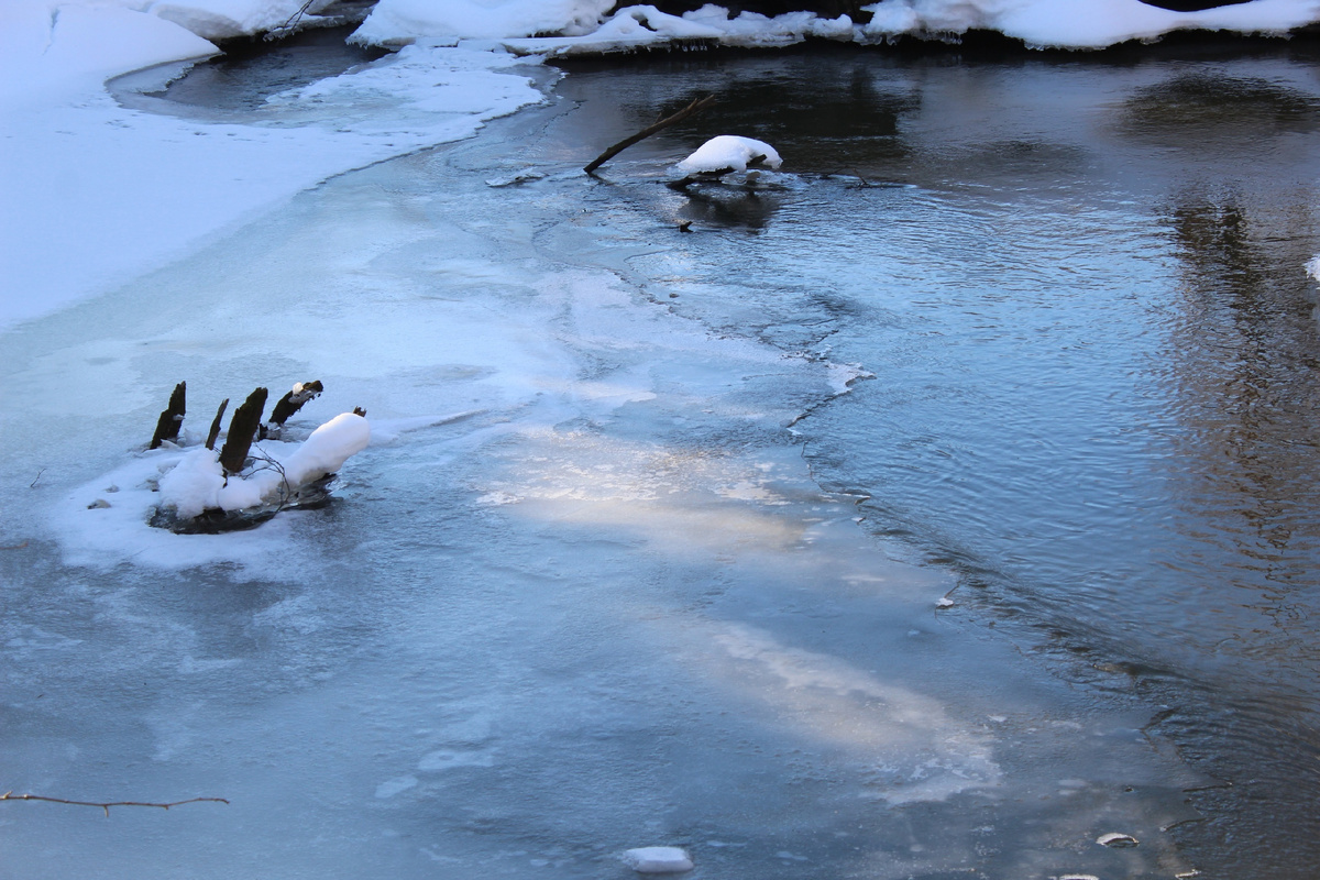 На следующий день я сделала этот снимок реки