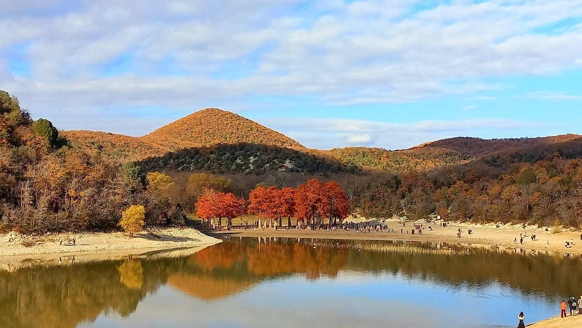 Осенние кипарисы в ноябре месяце. Сукко, ноябрь 2024г