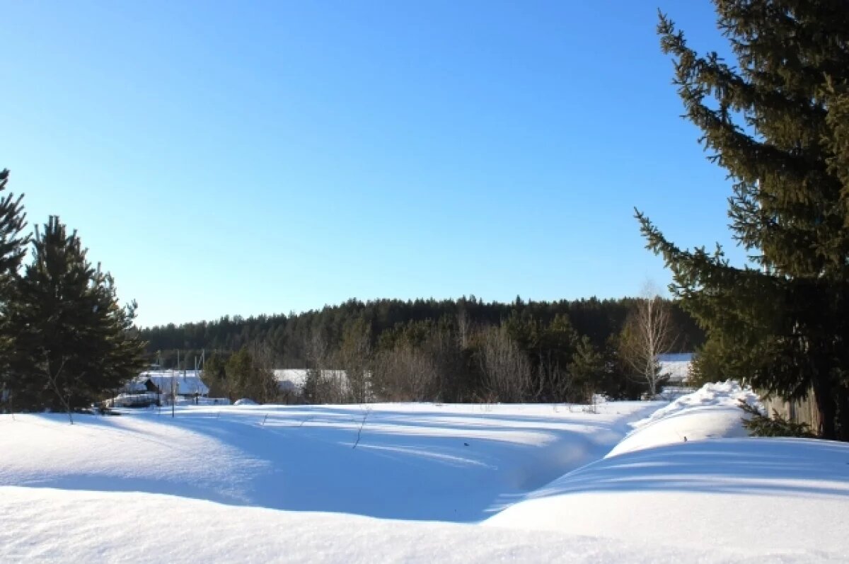    Жителям Новосибирска рассказали о запретах в день Ивана Милостивого