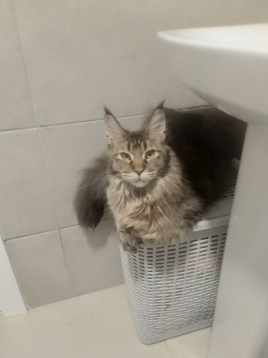 Ну ведь хорошо же было, а?