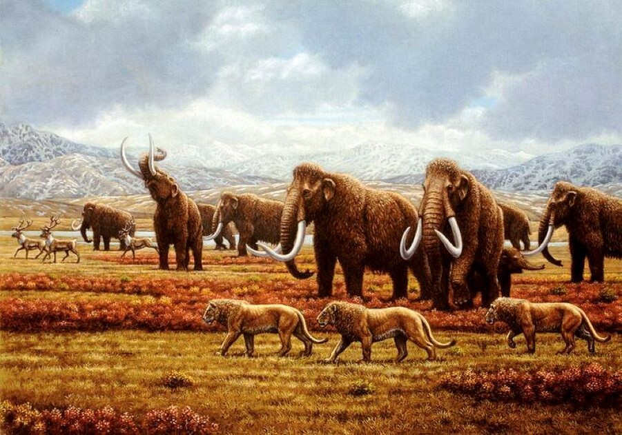 Мамонтова степь