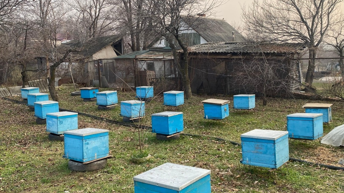     Автор: Александра Мамедова Источник: vostokmedia.com