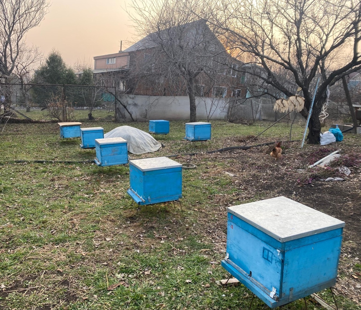     Автор: Александра Мамедова Источник: vostokmedia.com