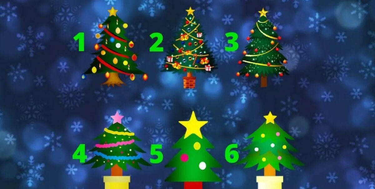 Фото: Анна Ромахина, ИА SakhalinMedia