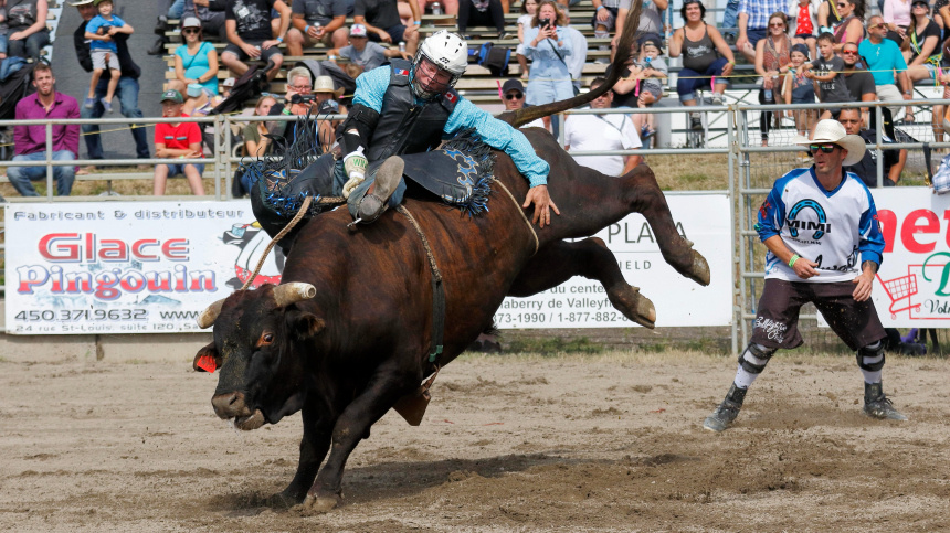    Фото: www.globallookpress.com/Guenther Schwermer