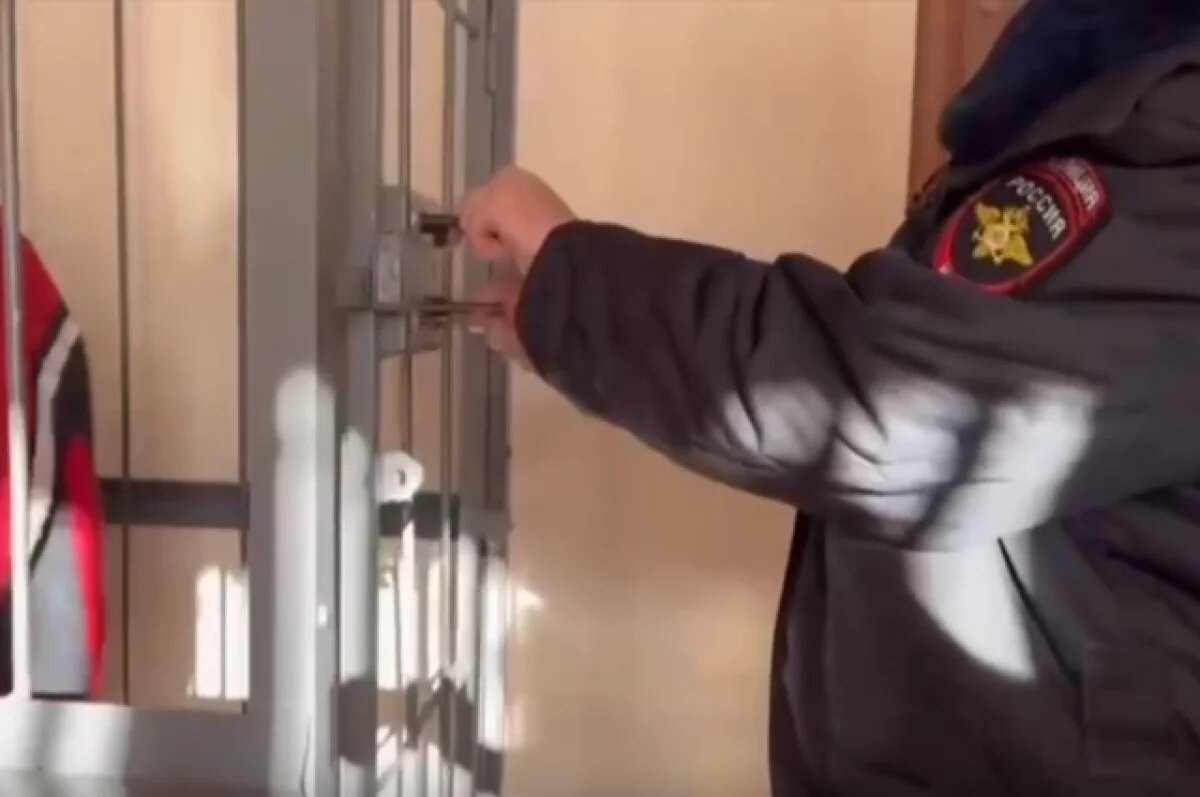    Мужчину заключили под стражу на 2 месяца