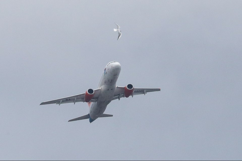    Фото: Petrov Sergey/news.ru/Globallookpress