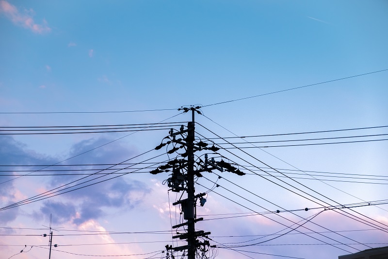    Фото: jcomp/Freepik