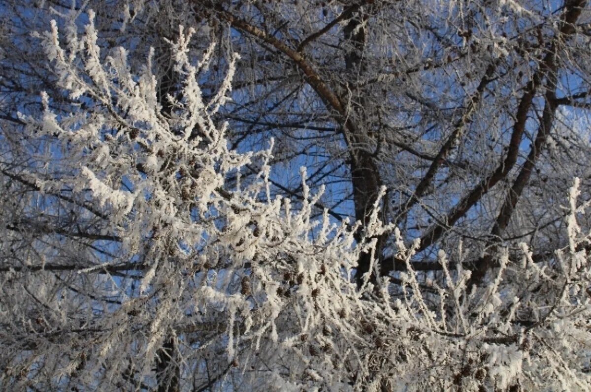    Похолодание и ветер ожидаются в Свердловской области на этой неделе