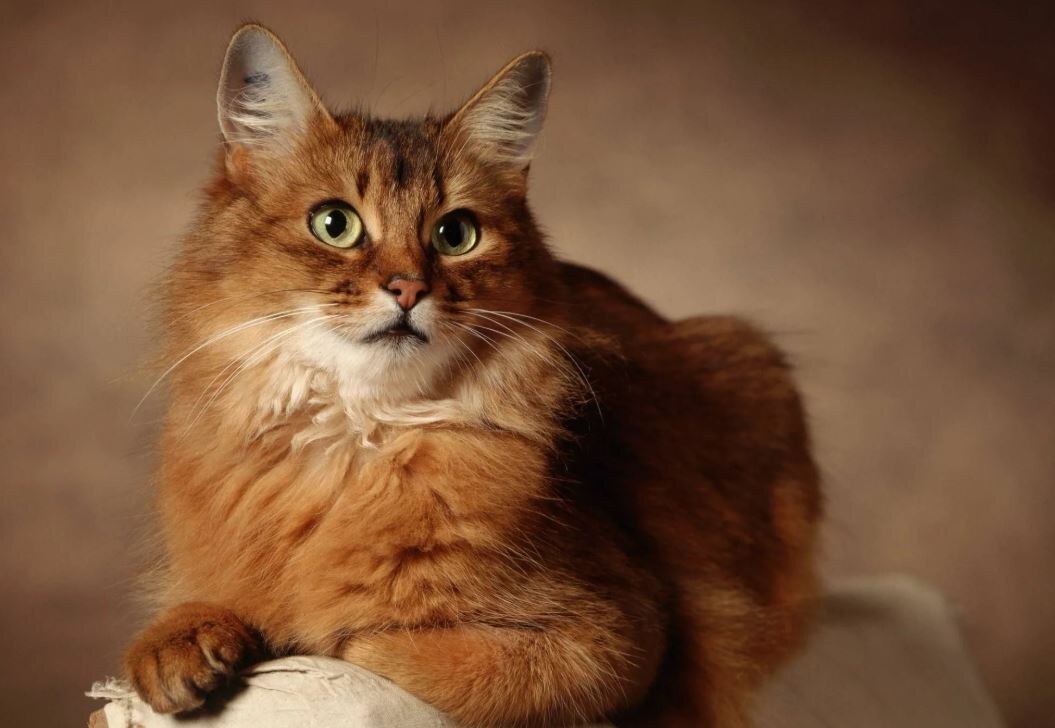 Источник: Яндекс картинки