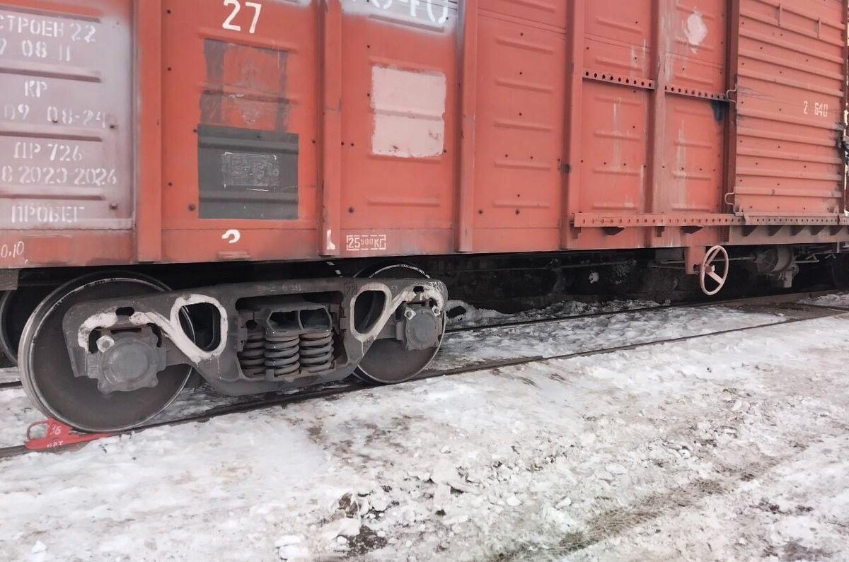 Фото: АПК Новости