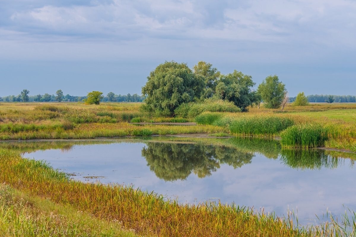 Красивые пойменные луга