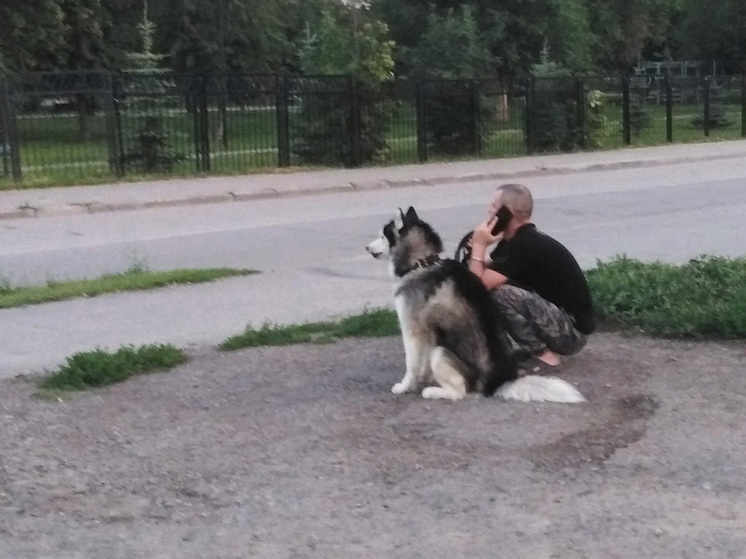     Фото: Алексей Петров
