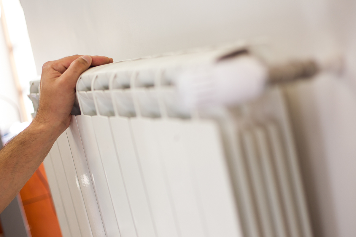 Фото: Александр Подгорчук / РБК Ростов-на-Дону