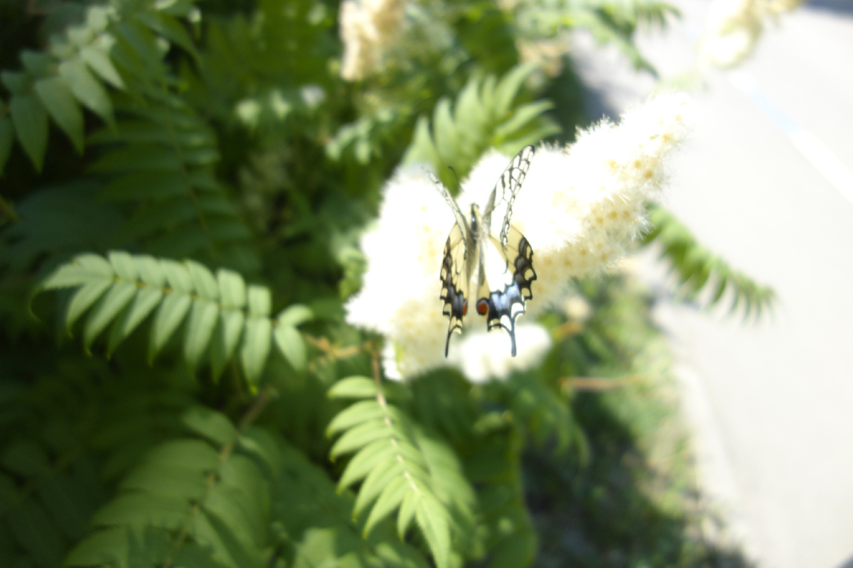 Природа вокруг нас