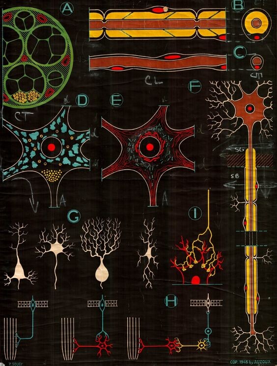 источник Pinterest