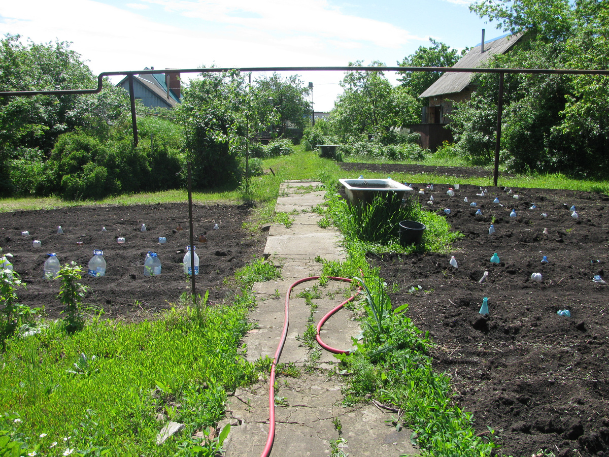 Дорожка от нашего домика к дому,  где жила Чуча. Дом слева, видно трубу соседнего дома.
