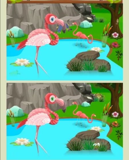 Найди 10 отличий 