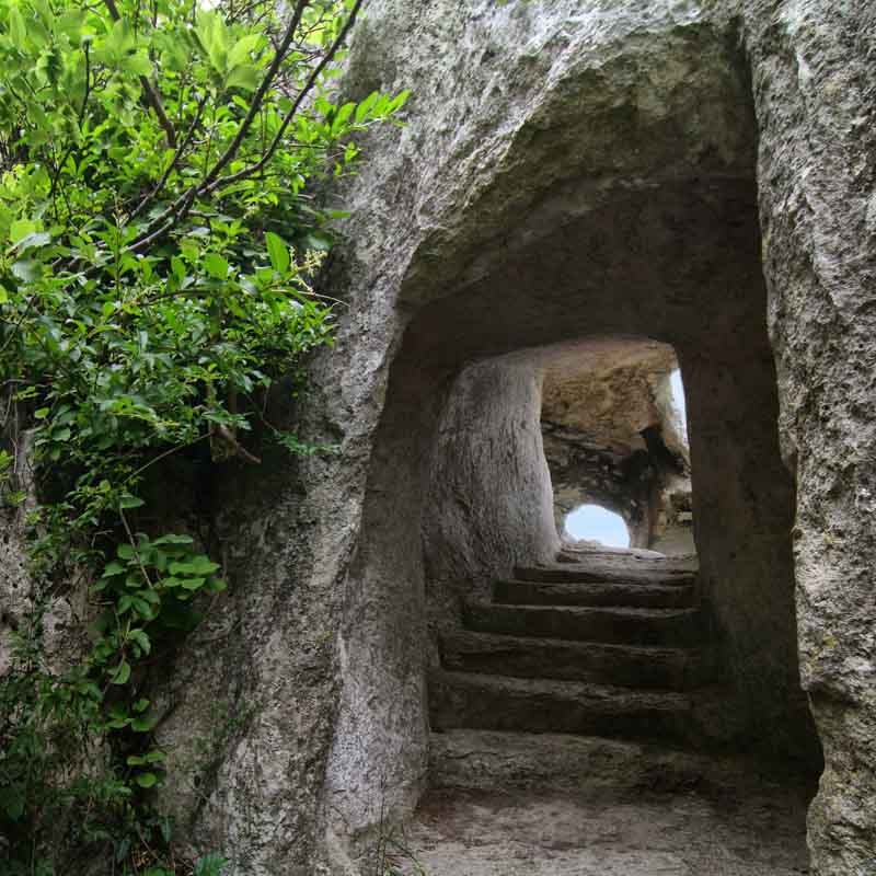 Фото: Александр Кустовский 