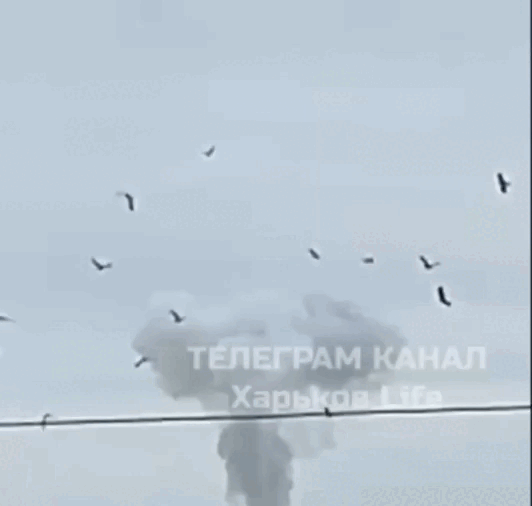    Видео: Харьков Life