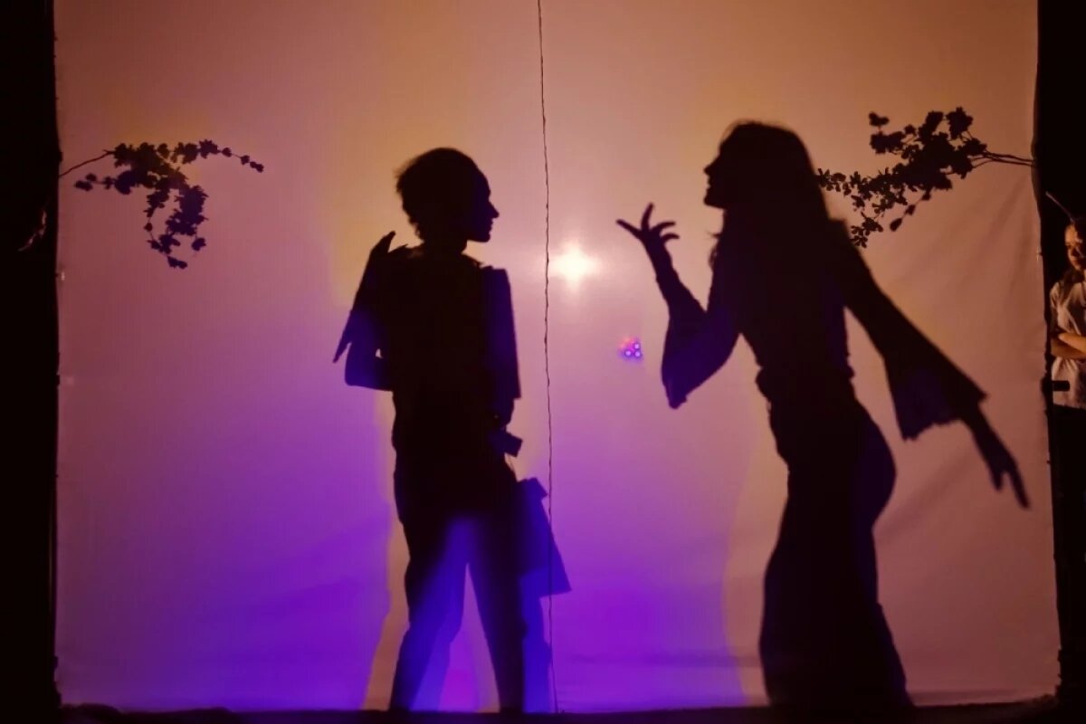    В конце декабря в Иркутск с гастролями во второй раз приедет театр теней из Читы «Кобылья голова».