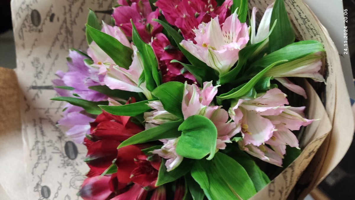 Добавить картинку