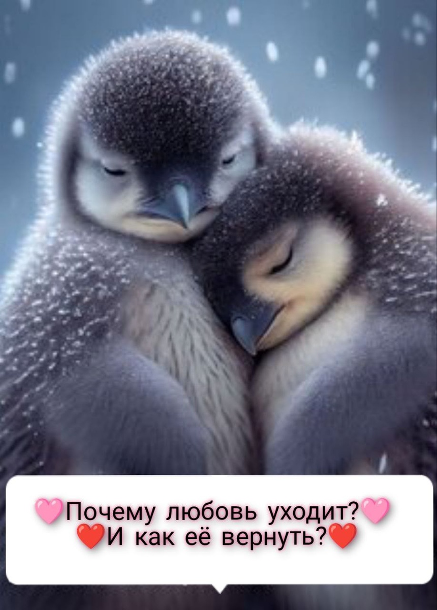 Найди свою любовь... Верни свою любовь... 