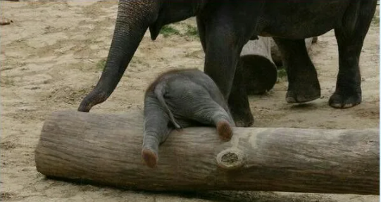 Фото: motivators.ru