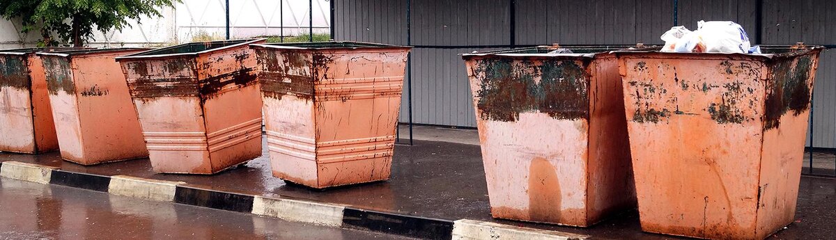    Фото: Сергей Егоров