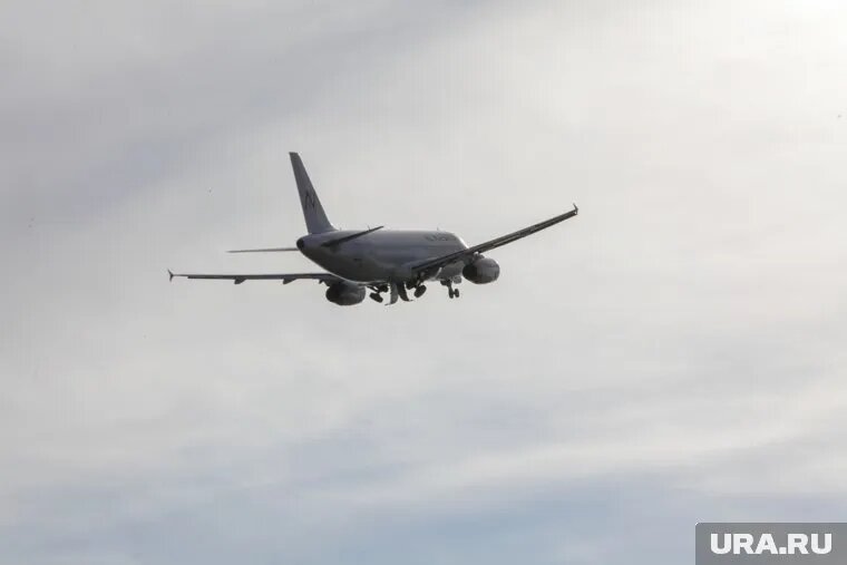Самолет выполнял рейс из Лейпцига. Фото: Эдуард Корниенко © URA.RU