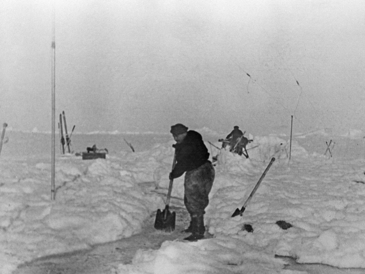    Ивана Папанина, получившего богатый опыт административной работы в отдалённых регионах страны, стали направлять на Крайний Север. В 1930-е он участвовал в экспедиции на ледоколе «Малыгин» к Земле Франца-Иосифа, а также был начальником полярных станций в бухте Тихая и на мысе Челюскин / РИА Новости