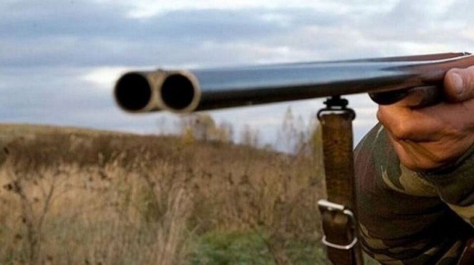    Охотник. Ружье. Охота. Источник: pixabay.com