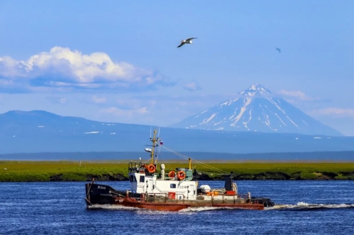    Лососевая путина 2024 года стала худшей за 20 лет