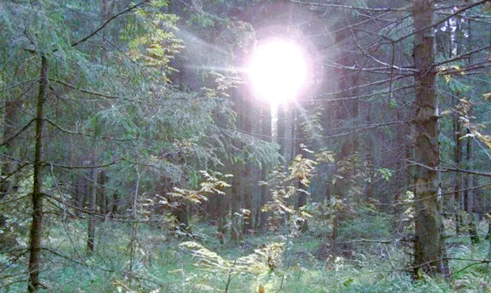 Источник фото: promodj.com