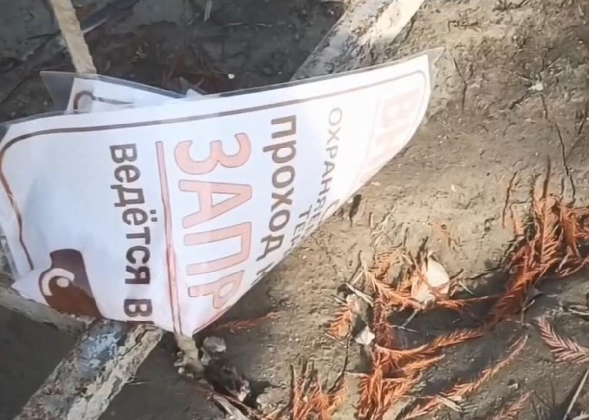 Фото: кадр видео