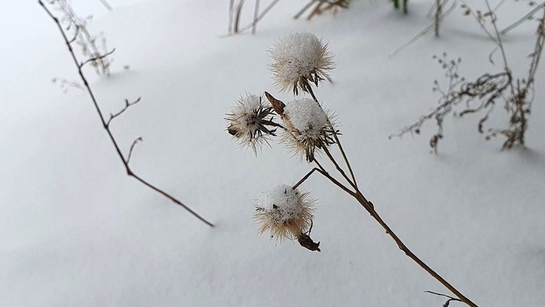 Источник: Екатерина Романова