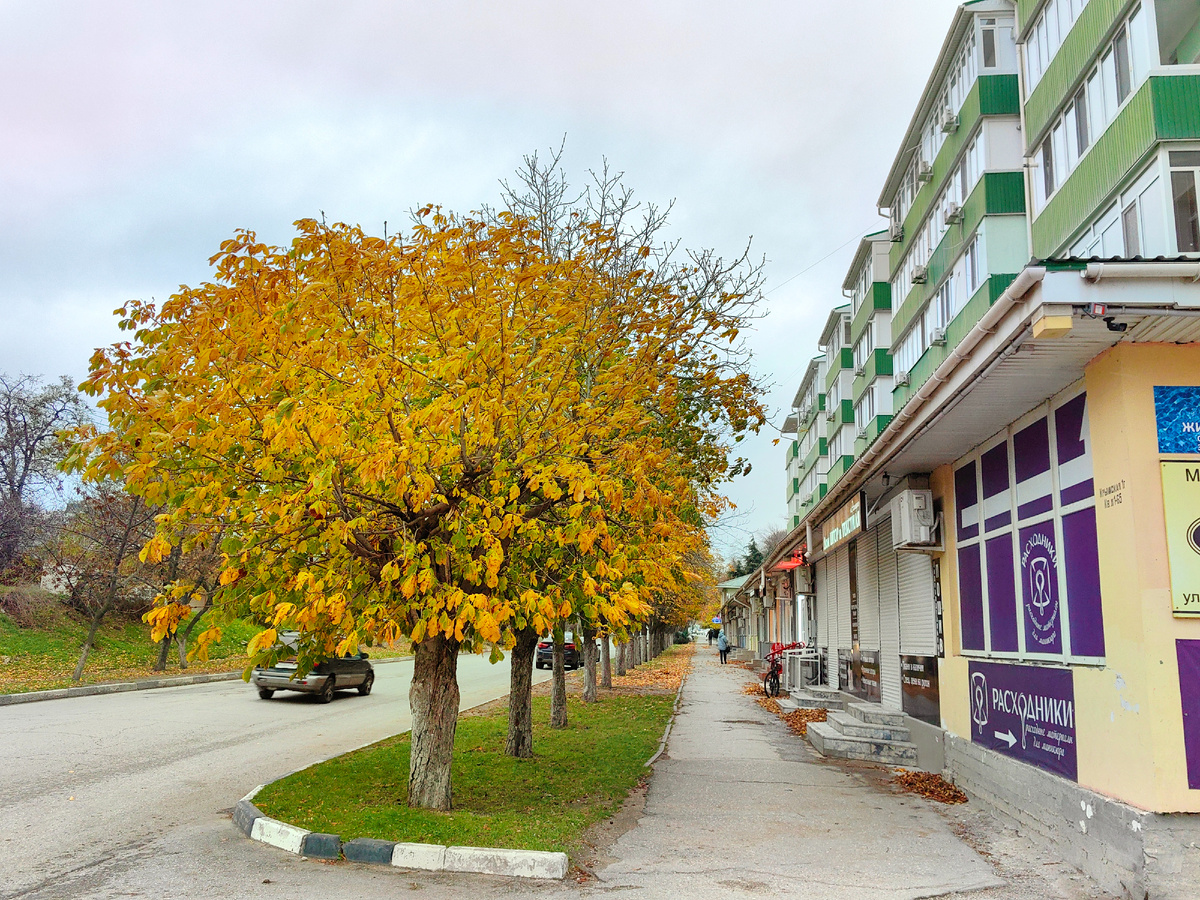 На ул. Крымской. Фото автора канала