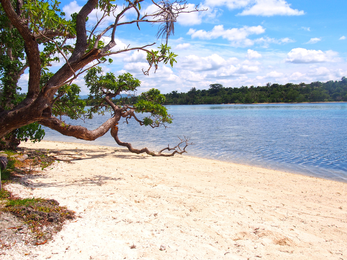 Из личного архива Эвелины Тимофеевой